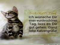 Liebe Katzengre!