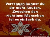 vertrauen kannst du