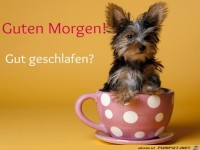 Guten Morgen Gut geschlafen