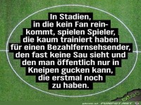 Profifußball