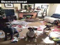 Tolle Weihnachts�berraschung