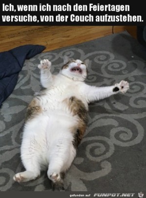 Nach-den-Feiertagen.jpg auf www.funpot.net