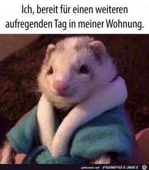 Ein-spannender-Tag-zuhause.jpg auf www.funpot.net