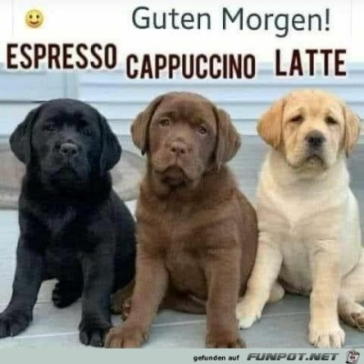 Guten-Morgen.jpg von Matteo