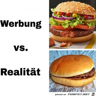 Die-Realit&auml;t-ist-hart.jpg von Mia