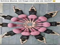 Sch�ne Blume