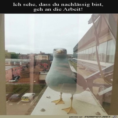 Geh-an-die-Arbeit.jpg von Pina