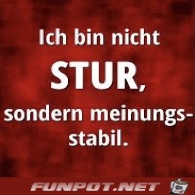 Meinungsstabil.jpg von Ava