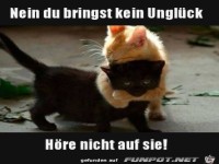 Du bringst kein Unglck
