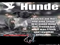 Hunde