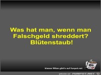 Was hat man, wenn man Falschgeld shreddert?