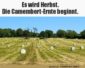 Die-Camembert-Ernte.jpg auf www.funpot.net