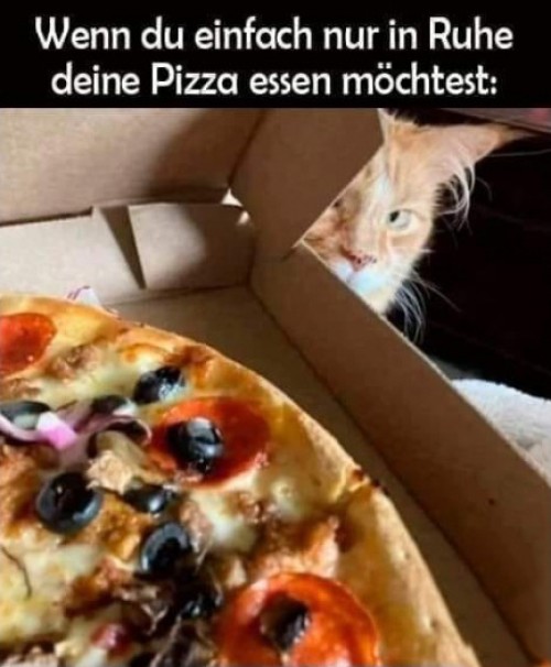 In-Ruhe-Pizza-essen.jpg auf www.funpot.net