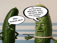 Gurken im lustigen Gespr�ch