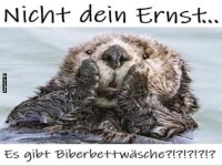 Biberbettw�sche Schock! ?