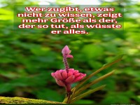 wer zugibt, etwas nicht zu wissen