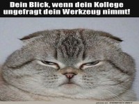 Keine Lust auf Werkzeug-Mafia!