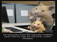 Wenn der Hamster den Chef nicht beeindruckt