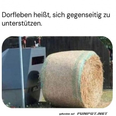 Wenn-der-Strohballen-Hilfe-braucht!.jpg von Kurt1978
