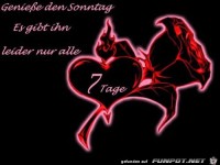 geniesse den sonntag es gibt ihn nur alle 7 tage