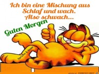 Ich bin eine Mischung