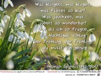 Was klingelt was klagt