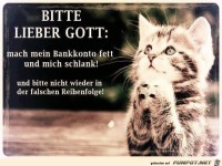 Bitte Lieber Gott