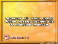Sommer-ist