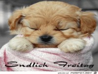 Endlich Freitag