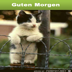 Begrüßungsbild