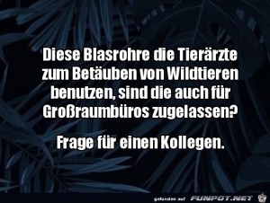 Blasrohre-zum-Betuben.jpg auf www.funpot.net