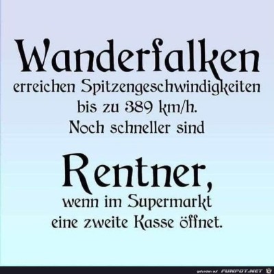 Wanderfalken.jpg von Keule56