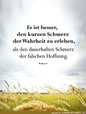 Es-ist-besser-den-kurzen-Schmerz-der-Wahrheit-zu-erleben.jpg auf www.funpot.net