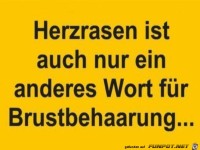 Herzrasen
