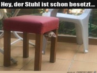 Der Stuhl ist besetzt