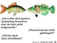 Du hast nicht aufgemacht