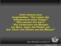 Chef wütend zum Angestellten