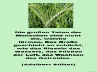 die gro�en taten der menschen