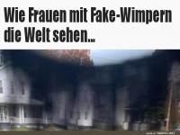 So sehen Fake-Wimpern die Welt