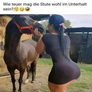 fun-Bild: Lustiges Treffen zwischen Frau und Pferd