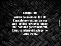 Karatelehrer ohne Karatek�nste