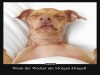weiter