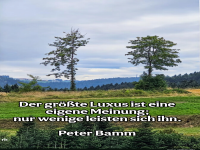 der größte luxus ist