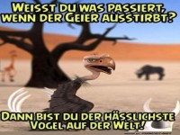 Geheimnis des h�sslichsten Vogels gel�ftet!