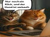 weiter