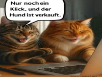 Katzen auf Shoppingtour!