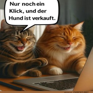 fun-Bild: Katzen auf Shoppingtour!