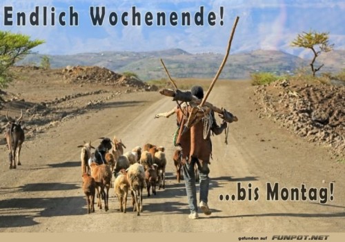 Wenn-das-Wochenende-vorbei-galoppiert!.jpg auf www.funpot.net