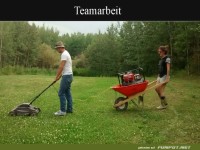 Teamwork mal anders: M�hen im Doppelpack!