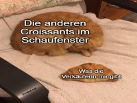 Der Croissant-Vergleich